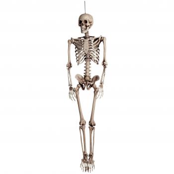 Skeleton Halloween Accrocheur 160 cm