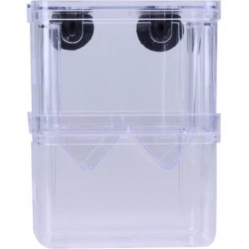 AquaBox Guppies Isolation