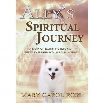 Ally's Spiritual Journey: A Story of Beating the Odds and Surviving Surgery with Spiritual Healing