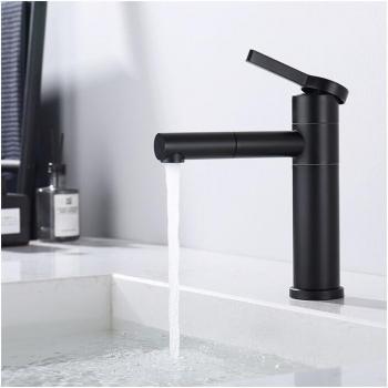 Rubinetto da bagno girevole in acciaio inox