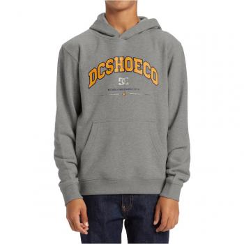 Felpa DC Shoes con Cappuccio Orientation