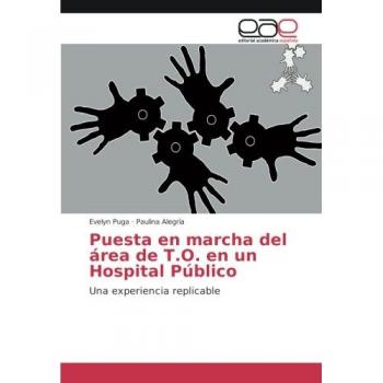 Puesta en marcha del área de T.O. en un Hospital Público: Una experiencia replicable