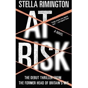 At Risk, Vintage Crime/Black Lizard