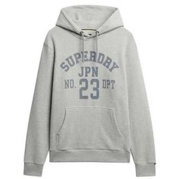 Sweat à capuche Superdry pour homme Gris 2XL