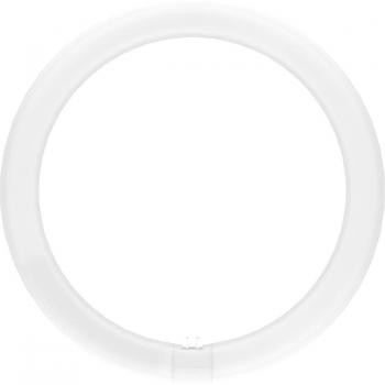 LuminaFlex 30 cm G10q LED 18,3 W