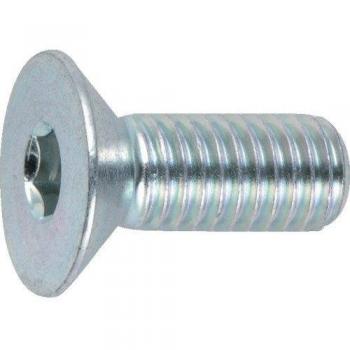 Hex Socket Head Flat M6x30 White Bolts – 15 Pack (Trussco B773-0630)
