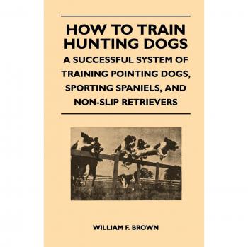 How to Train Hunting Dogs