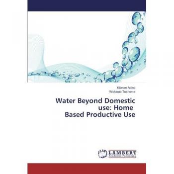 Water Beyond Domestic use: Home Based Productive Use