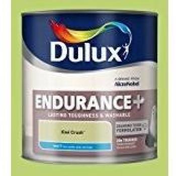 Dulux Endurance Paint