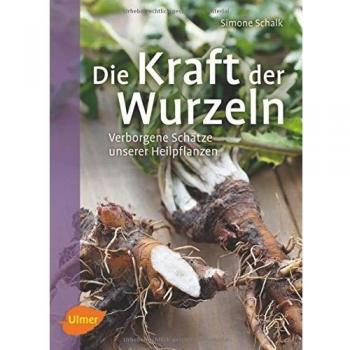 Die Kraft der Wurzeln: Verborgene Schätze unserer Heilpflanzen