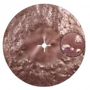 Carbure de silice 16 grains, disque biface – Maxititina Raimondi