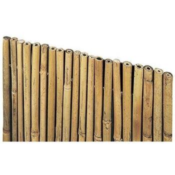 Cañizo Master Bamboo 200 × 300 cm