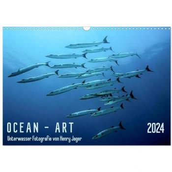 Ocean-Art / CH-Version (Wandkalender 2024 DIN A3 quer) CALVENDO Monatskalender