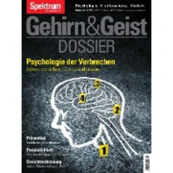 Gehirn & Geist