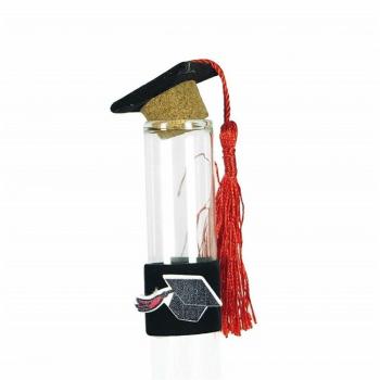 Set 24 Bomboniere Laurea Ampolla in Vetro con Tappo Sughero e Confetti