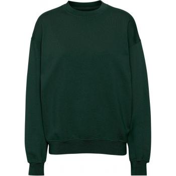 Sweat à col rond vert épicé – oversize, coton bio, design coloré