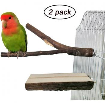 Juguete Interactivo para Cockatiels