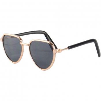 Lentes Paws de Rock