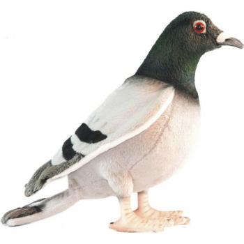 Peluche Pigeon Voyageur HANSA 20 cm Multicolore