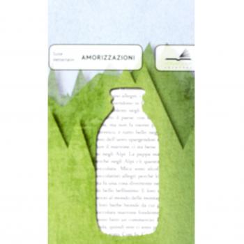 Amorizzazioni