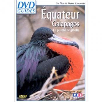 Galapagos : La Beauté Équatorienne