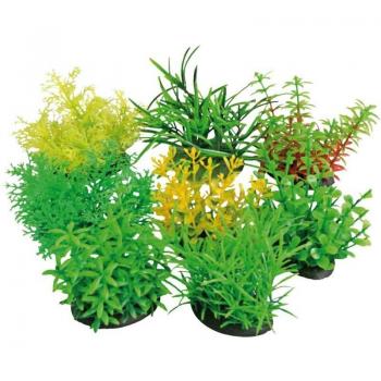 Mini Esplosione Tropicale Amtra – Primo Acquisto Gratis Spedizione