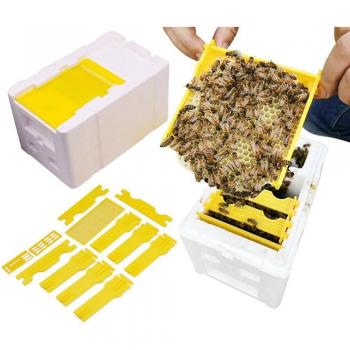 Pollination Beekeeping Kit