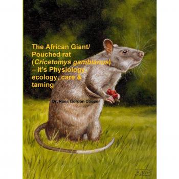 The African Giant/Pouched Rat