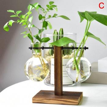 Simple Glass Hydroponic Vase for Home Decor