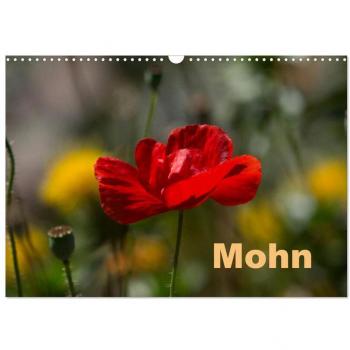 Mohn (Wandkalender 2024 DIN A3 quer) CALVENDO Monatskalender