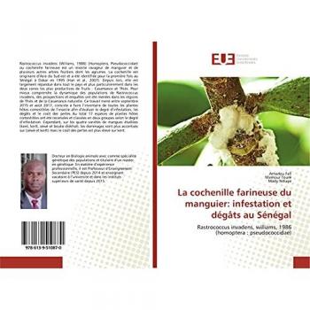 La cochenille farineuse du manguier: infestation et dégâts au Sénégal: Rastrococcus invadens, williams, 1986 (homoptera : pseudococcidae)