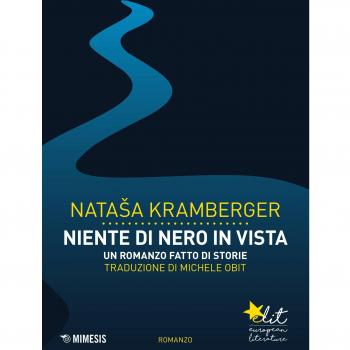 Niente di nero in vista. Un romanzo fatto di storie