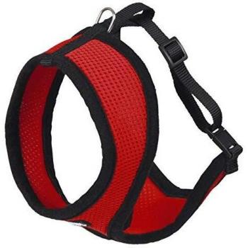 Red Active Cat Leash & Harness Combo