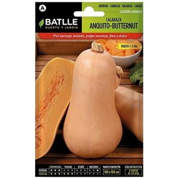 Semences de Courge Anquito-Butternut Batlle