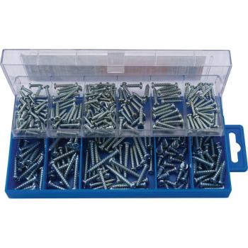 Draper Self Tapping Screw Assortment (305 Piece)