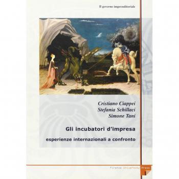 Il governo imprenditoriale. Vol. 132: Gli incubatori d'impresa: esperienze internazionali a confronto.