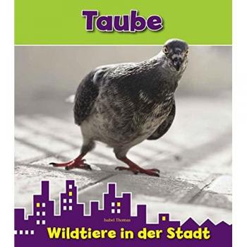 Taube: Wildtiere in der Stadt