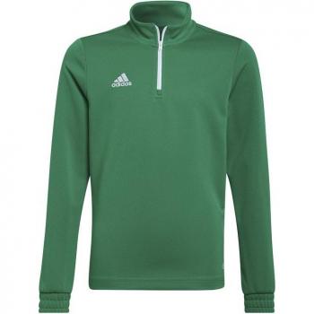 Felpa Adidas Entrada 22 Training Verde