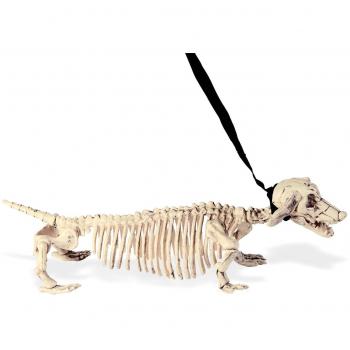 Widmann „Dackel‑Skelett“ Dekorationsset – 07093, 55 cm