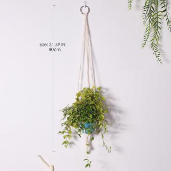 Wall Plant Holder