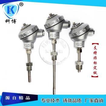 PT100 Thermoelement mit festem Gewinde