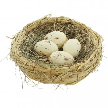 Eier Nest Dekorationsspielzeug