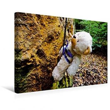 Calvendo Wandkunst: Outdoor Teddies, 45 × 30 cm