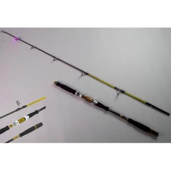 Canna Leggera 2,4 m – Pesca Marittima Telescopica 10/30 g