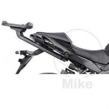 TOP CASE TR37 TERRA SHAD