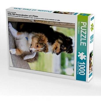 CALVENDO Puzzle Shelties Herzensbrecher auf 4 Pfoten