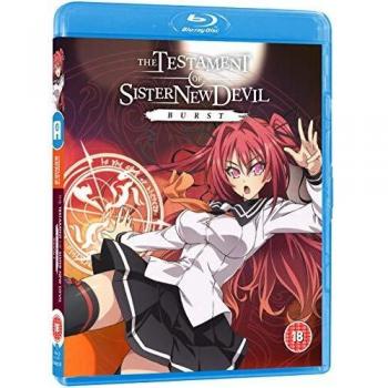 Testament of Sister New Devil Burst