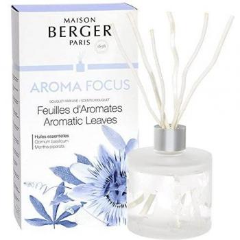 Bouquet profumato Aroma Focus 180ml