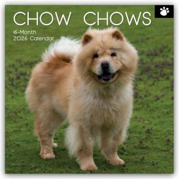 Flechsig, Kalender, Gifted Stationery Co. Ltd:Chow Chows 20 (30.5 x 30.5 cm, Deutsch)