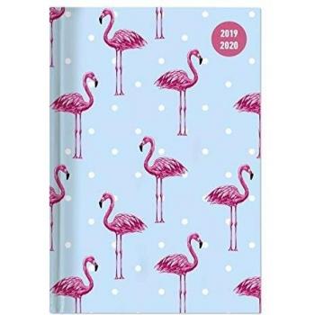 Collegetimer Flamingo 2019/2020